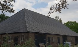 pannendak bavel zijkant